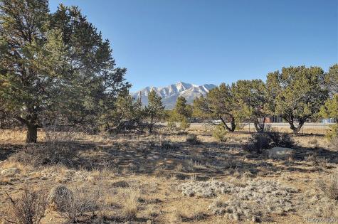31320 County Road 384 A Buena Vista CO 81211