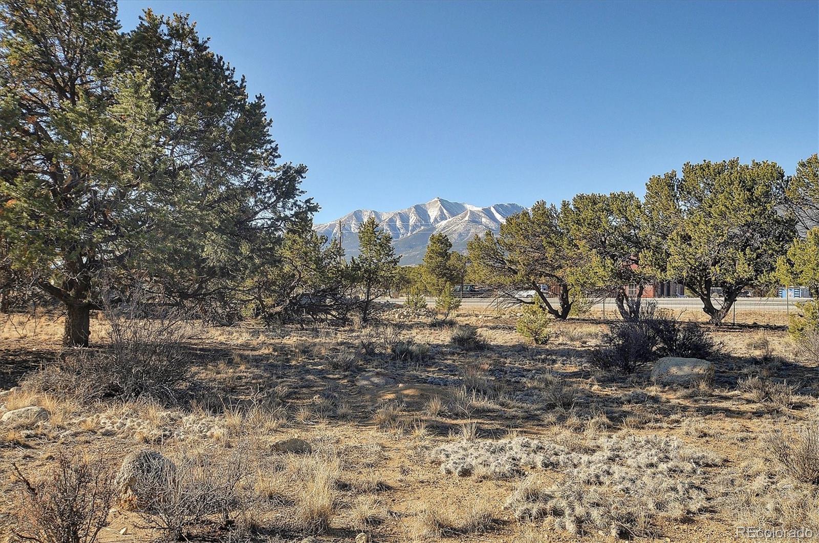 31320 County Road 384 A Buena Vista CO 81211
