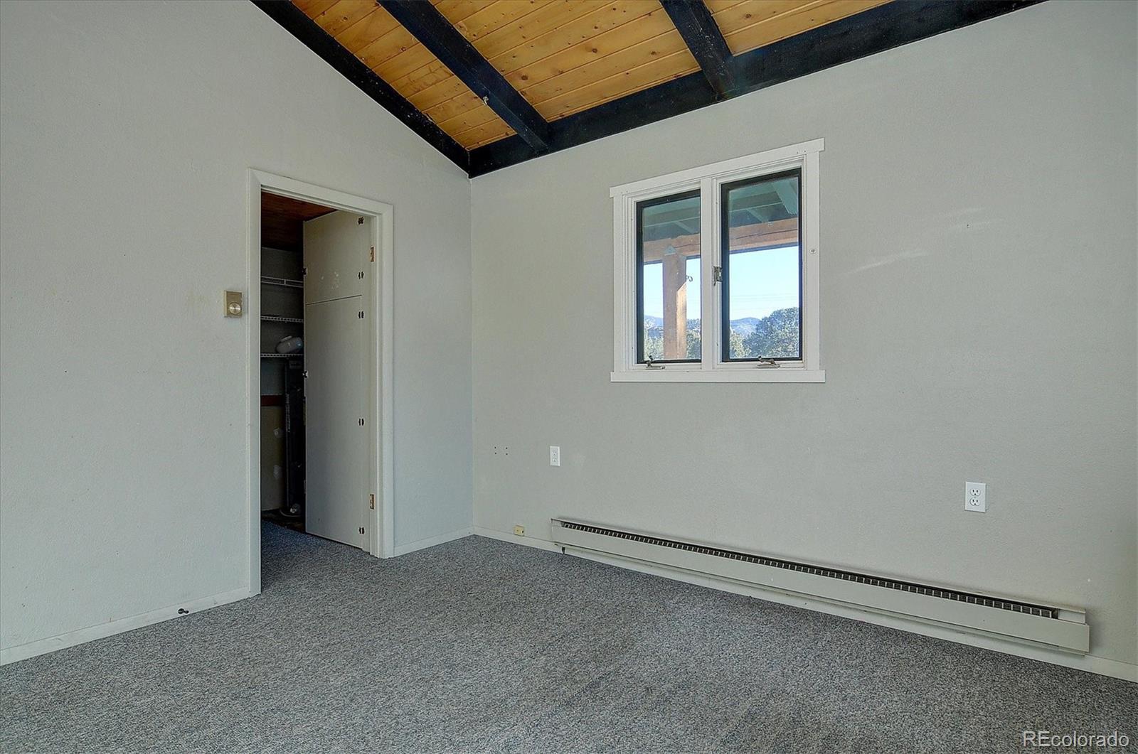 31320 County Road 384 A Buena Vista CO 81211