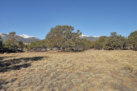 31320 County Road 384 A Buena Vista CO 81211