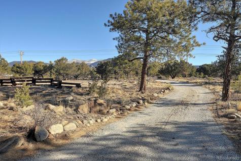 31320 County Road 384 A Buena Vista CO 81211