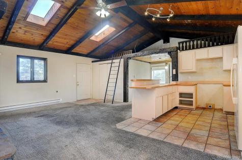 31320 County Road 384 A Buena Vista CO 81211