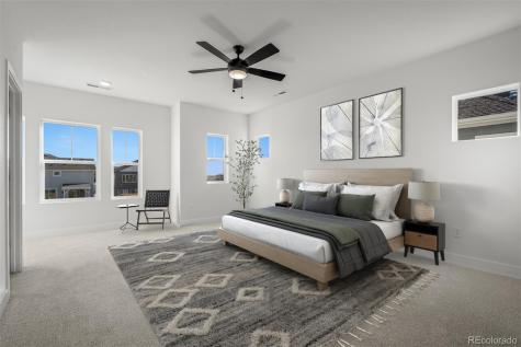 8916 Wolf Valley Drive Colorado Springs CO 80924