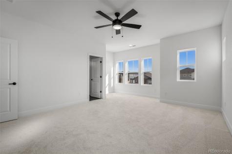 8916 Wolf Valley Drive Colorado Springs CO 80924