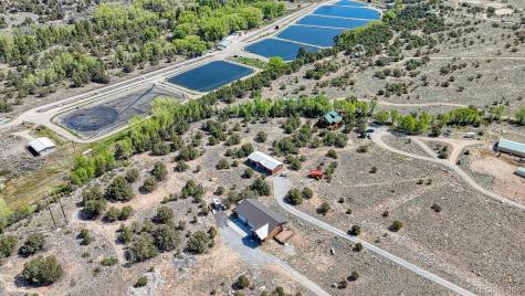14124 County Road 162 Nathrop CO 81236
