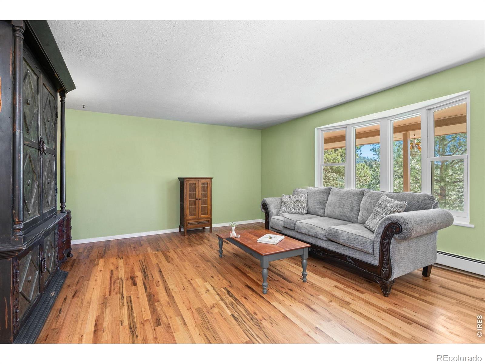 11053 Lindsey Road Conifer CO 80433