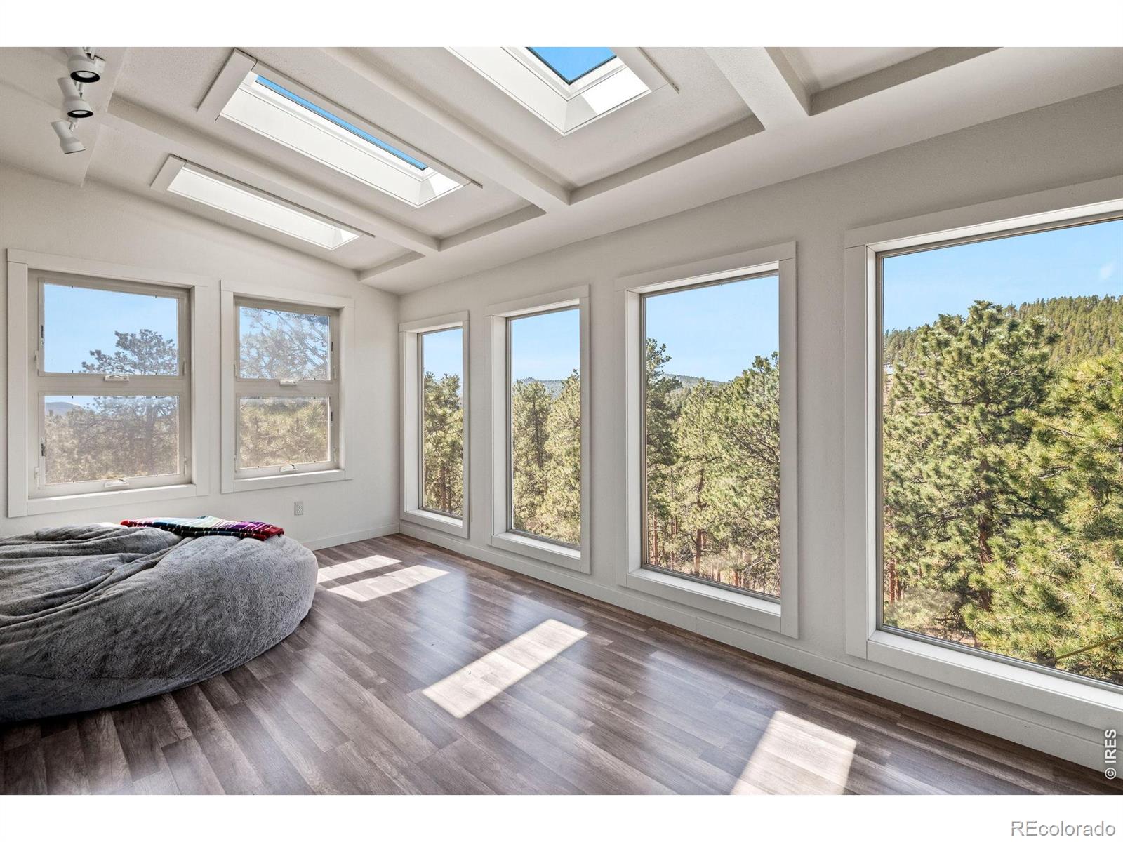11053 Lindsey Road Conifer CO 80433