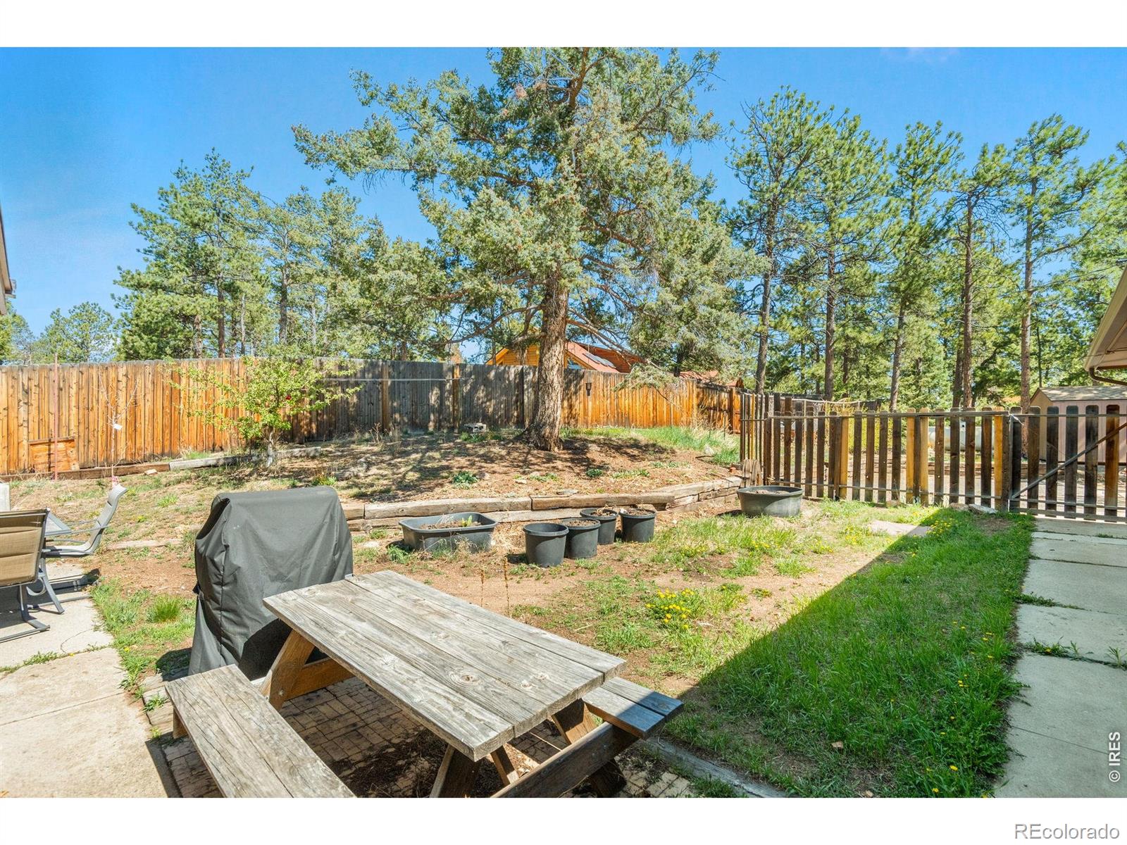 11053 Lindsey Road Conifer CO 80433