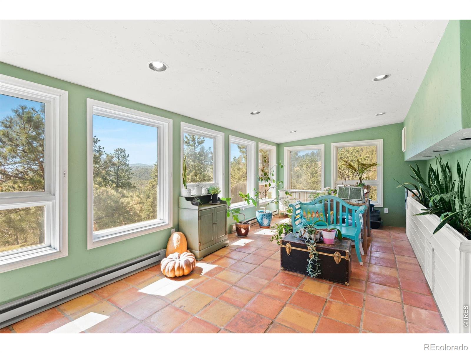 11053 Lindsey Road Conifer CO 80433