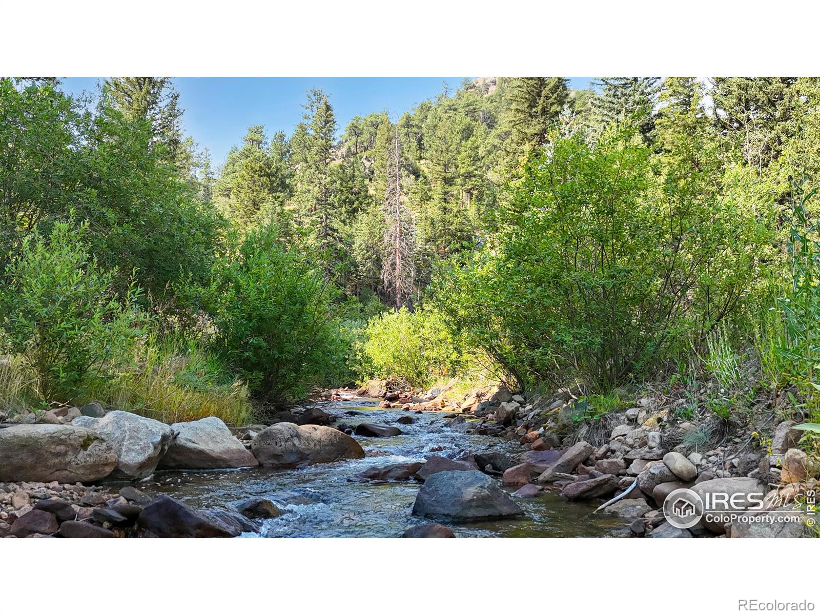 163 West Creek Road Glen Haven CO 80532