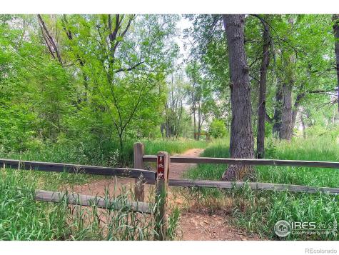3113 S Independence Court Lakewood CO 80227