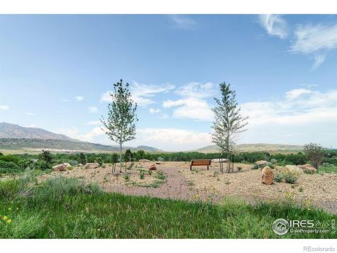 3113 S Independence Court Lakewood CO 80227