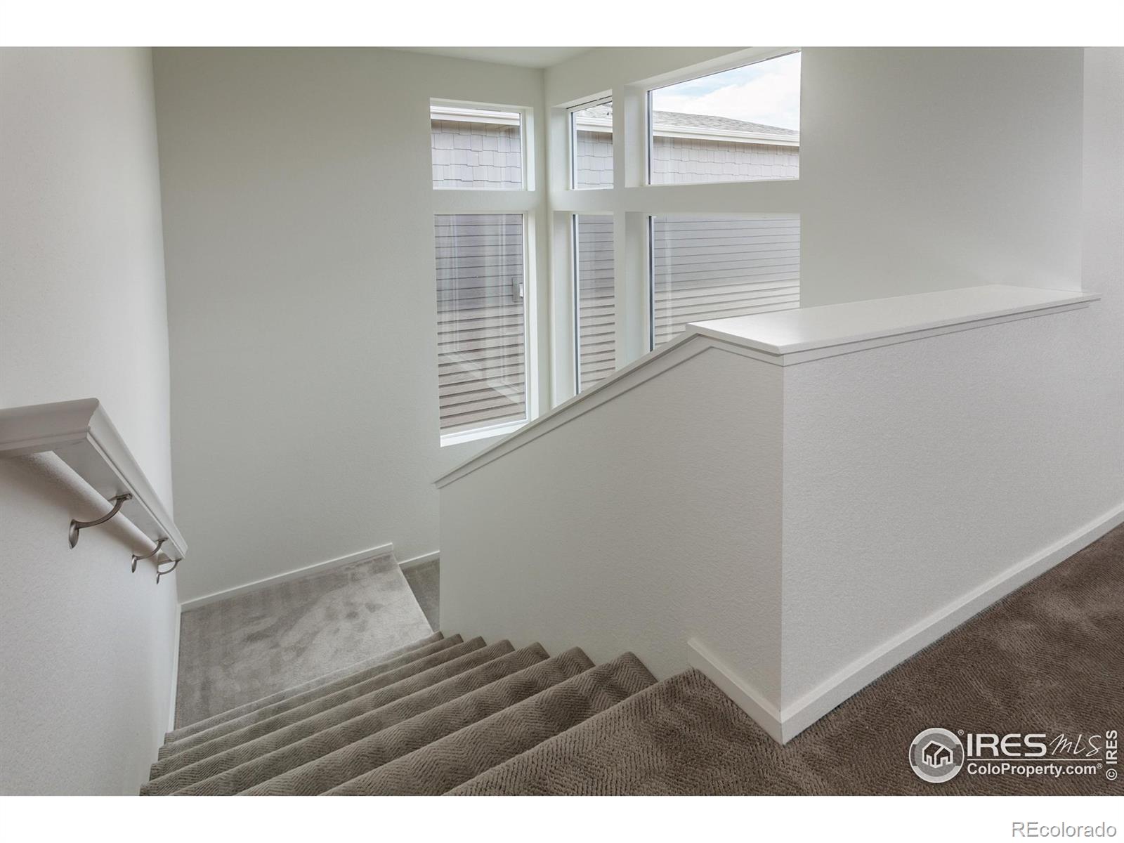 6113 Saddle Horn Drive Timnath CO 80547