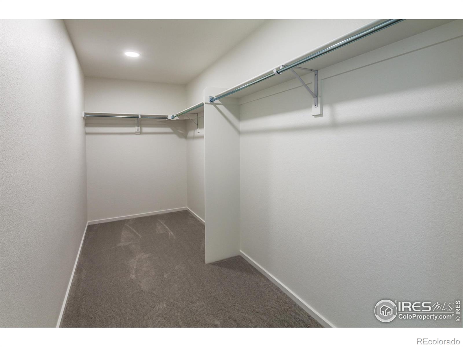 6113 Saddle Horn Drive Timnath CO 80547