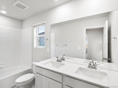 1691 Yampa River Drive Windsor CO 80550