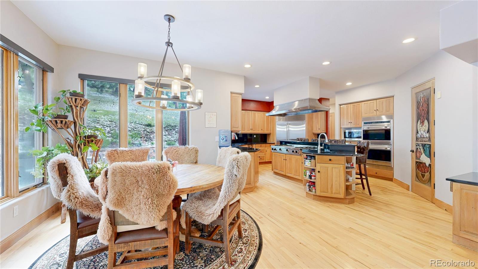 974 Spring Ranch Drive Golden CO 80401
