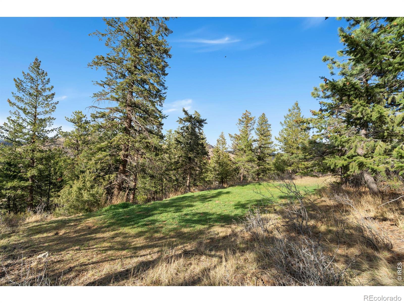 801 Montcalm Drive Livermore CO 80536