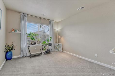 3434 Fantasy Place Castle Rock CO 80109