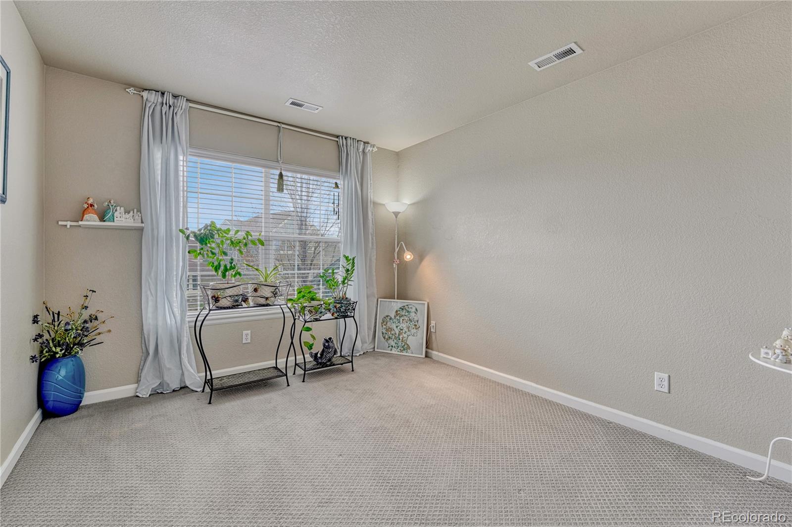 3434 Fantasy Place Castle Rock CO 80109