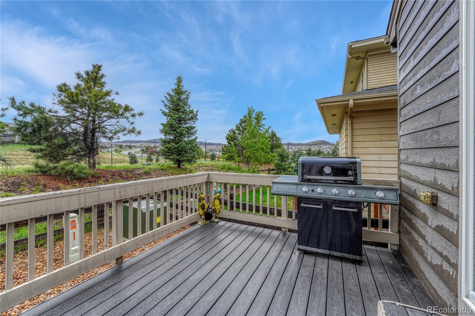 3434 Fantasy Place Castle Rock CO 80109