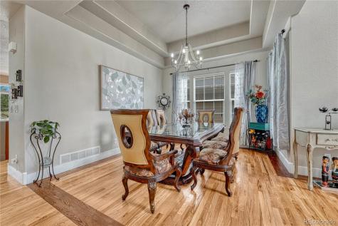3434 Fantasy Place Castle Rock CO 80109