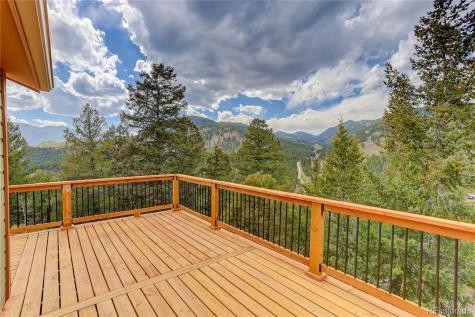 234 Bailey Drive Bailey CO 80421