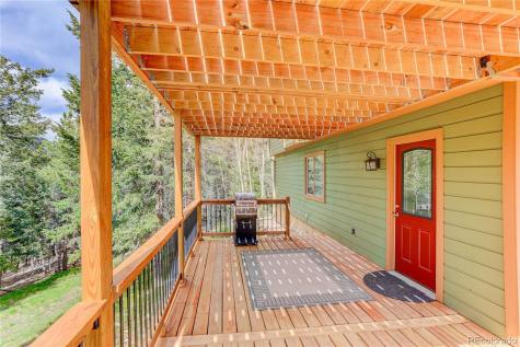 234 Bailey Drive Bailey CO 80421