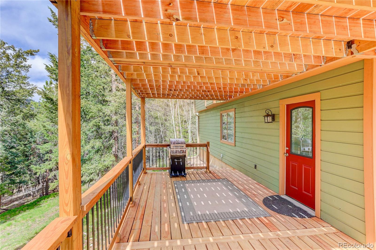 234 Bailey Drive Bailey CO 80421