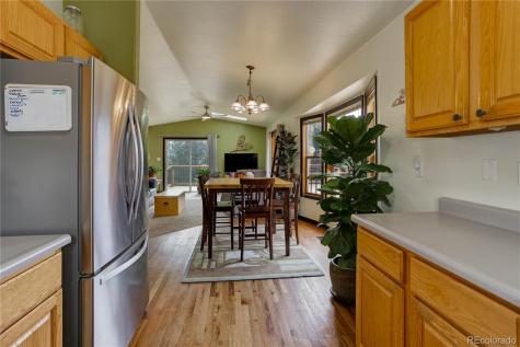 234 Bailey Drive Bailey CO 80421
