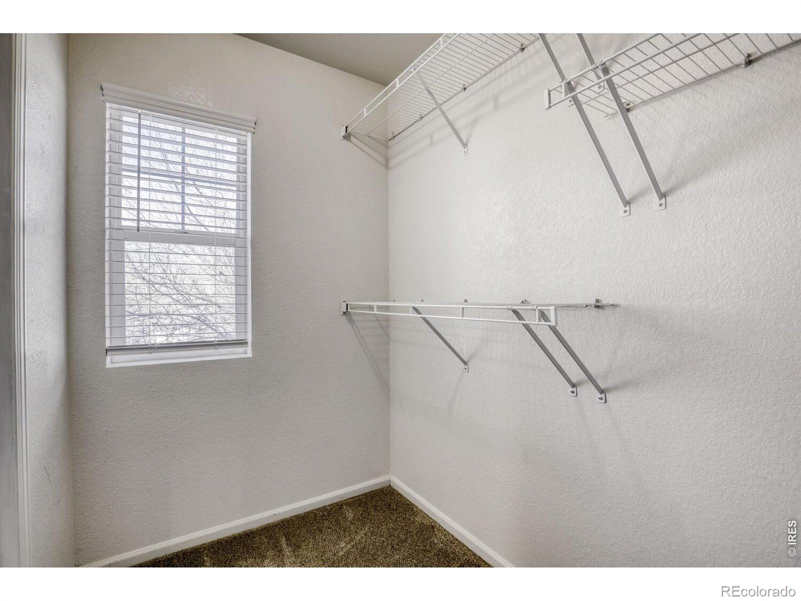 3907 Heatherwood Circle Johnstown CO 80534