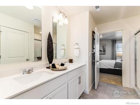 830 Trumpet Lane Windsor CO 80550