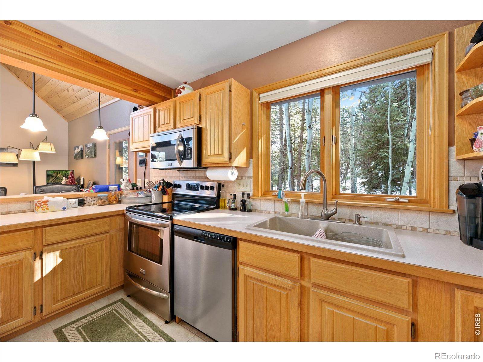 1655 Black Squirrel Drive Estes Park CO 80517