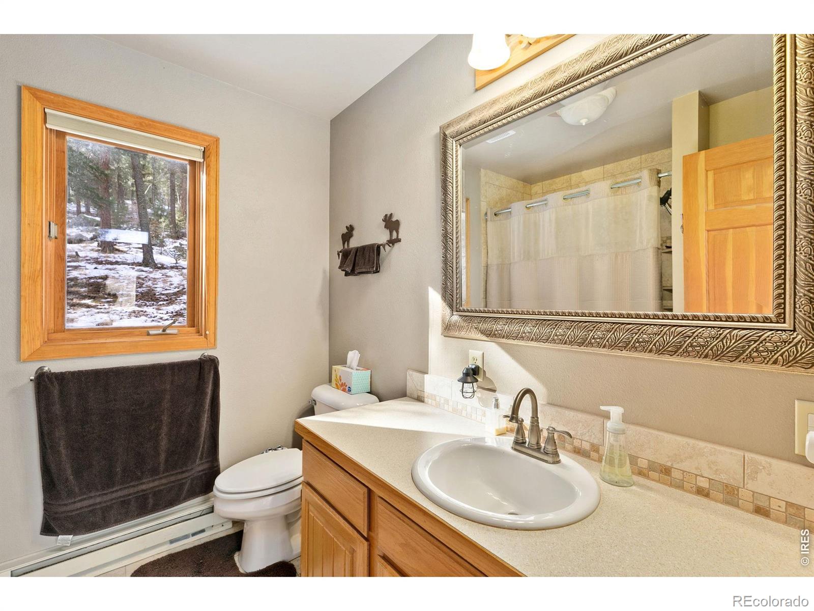 1655 Black Squirrel Drive Estes Park CO 80517
