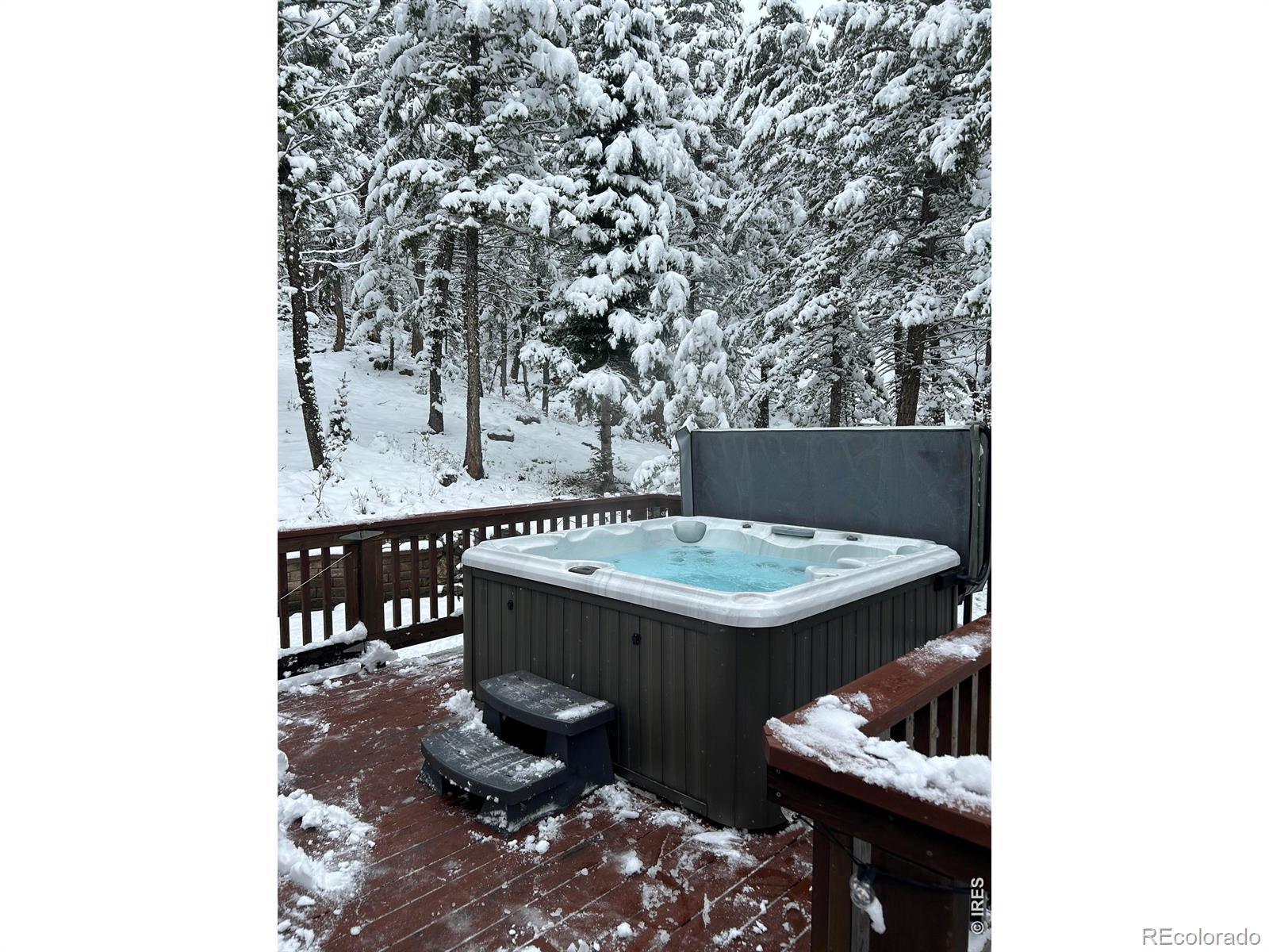 1655 Black Squirrel Drive Estes Park CO 80517