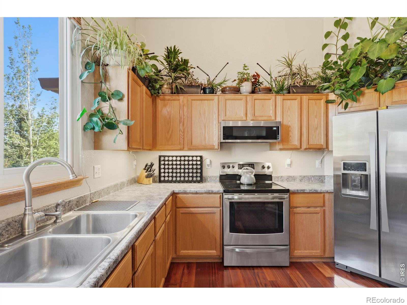 79 Red Oak Court Erie CO 80516