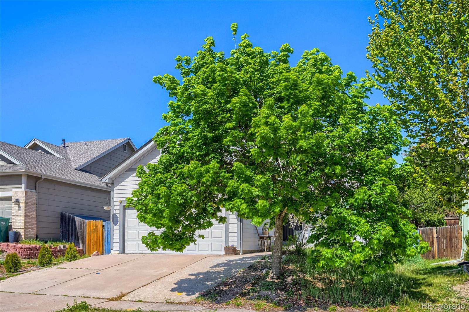 4966 Ardley Drive Colorado Springs CO 80922