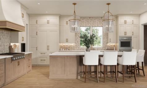 6853 Tremolite Drive Castle Rock CO 80108