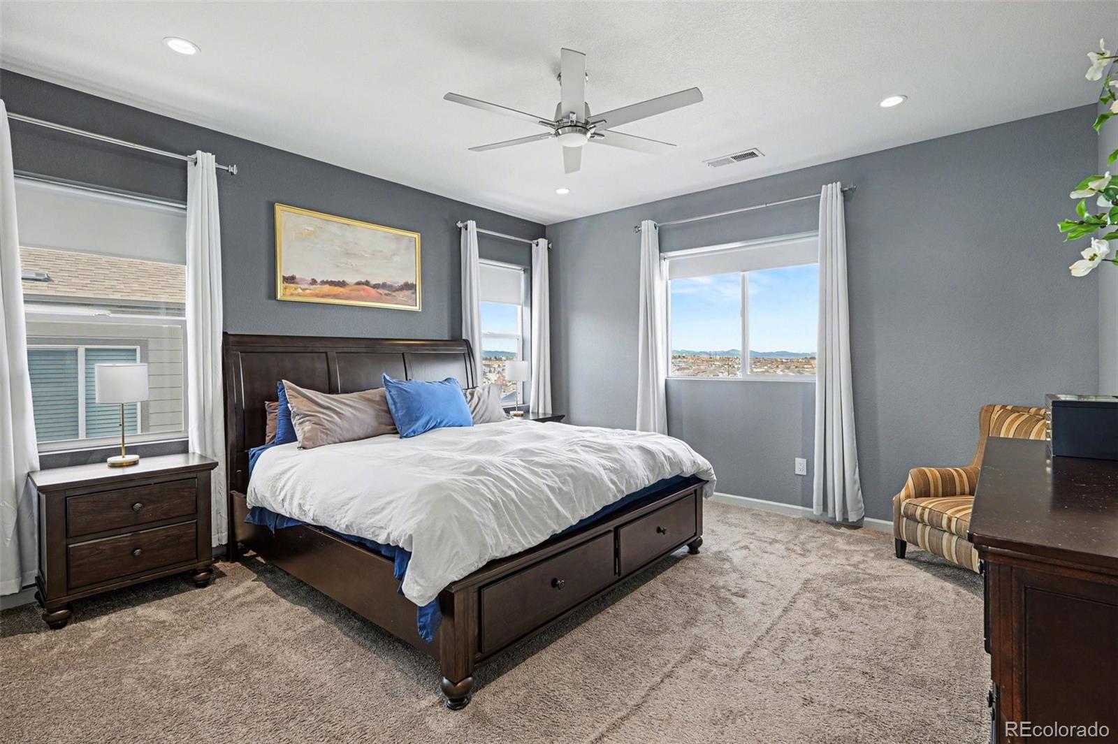 5028 Basalt Ridge Circle Castle Rock CO 80108