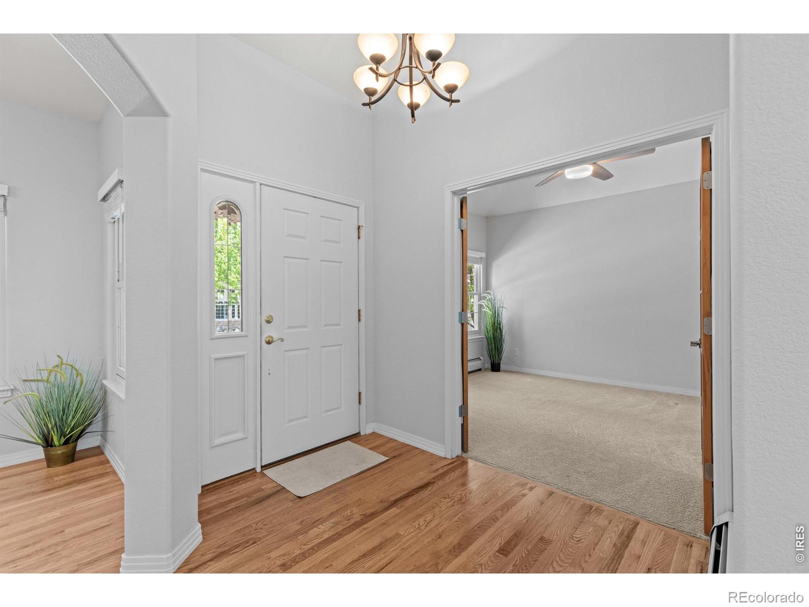 2957 Sonata Bay Court Longmont CO 80503
