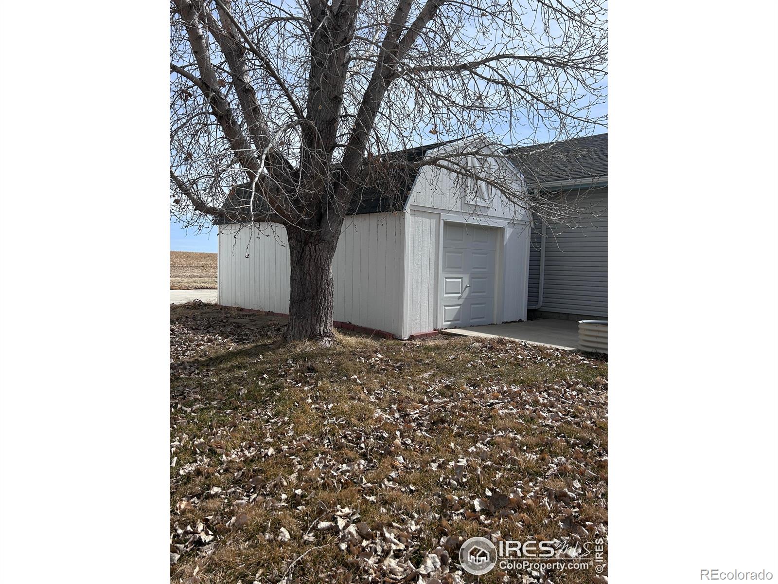 717 3rd Avenue Wiggins CO 80654
