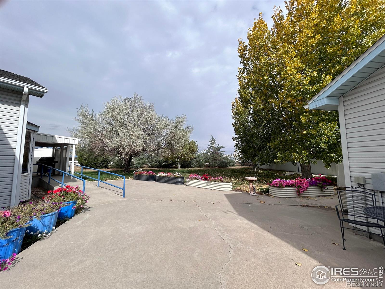 717 3rd Avenue Wiggins CO 80654