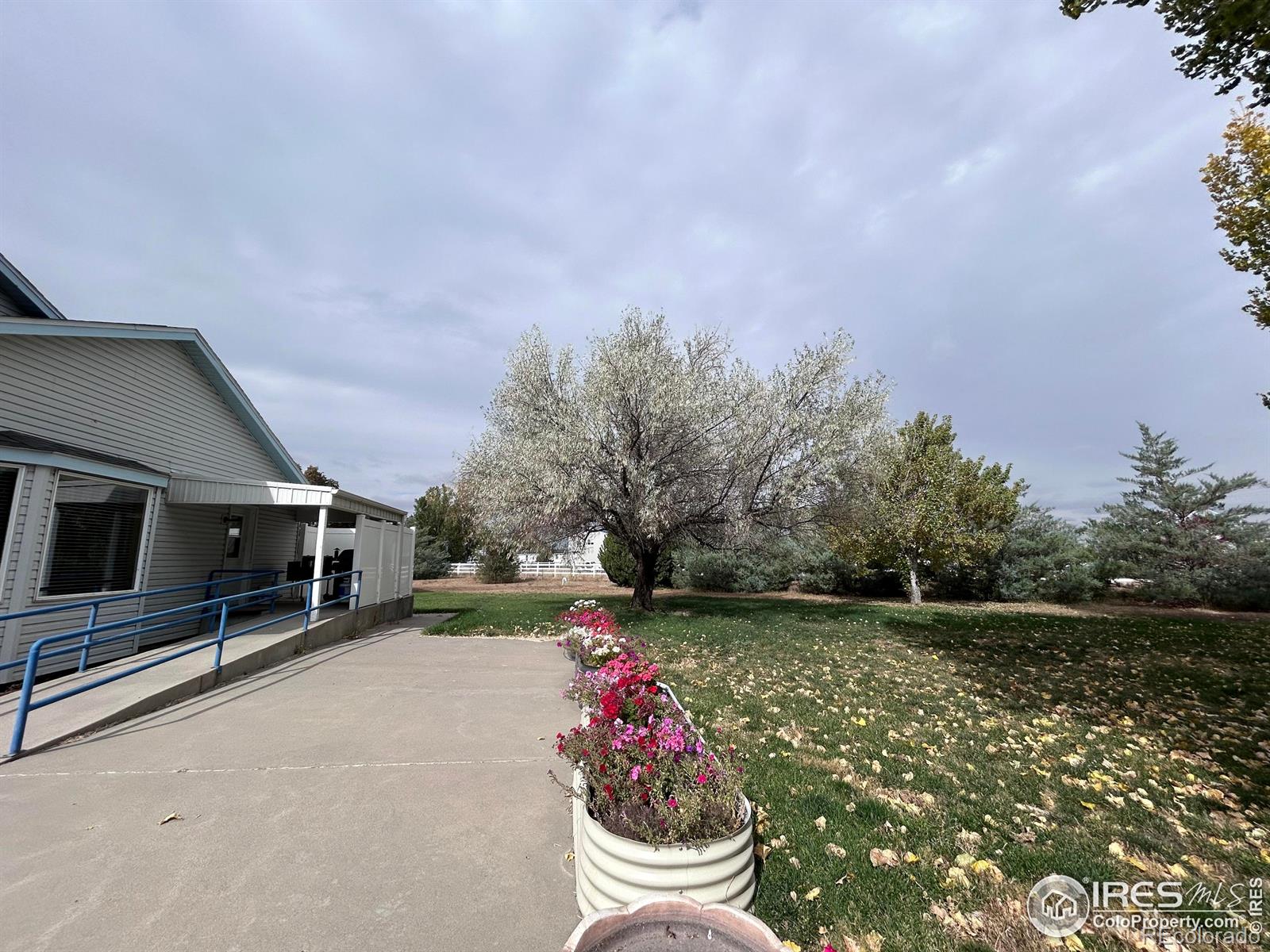 717 3rd Avenue Wiggins CO 80654