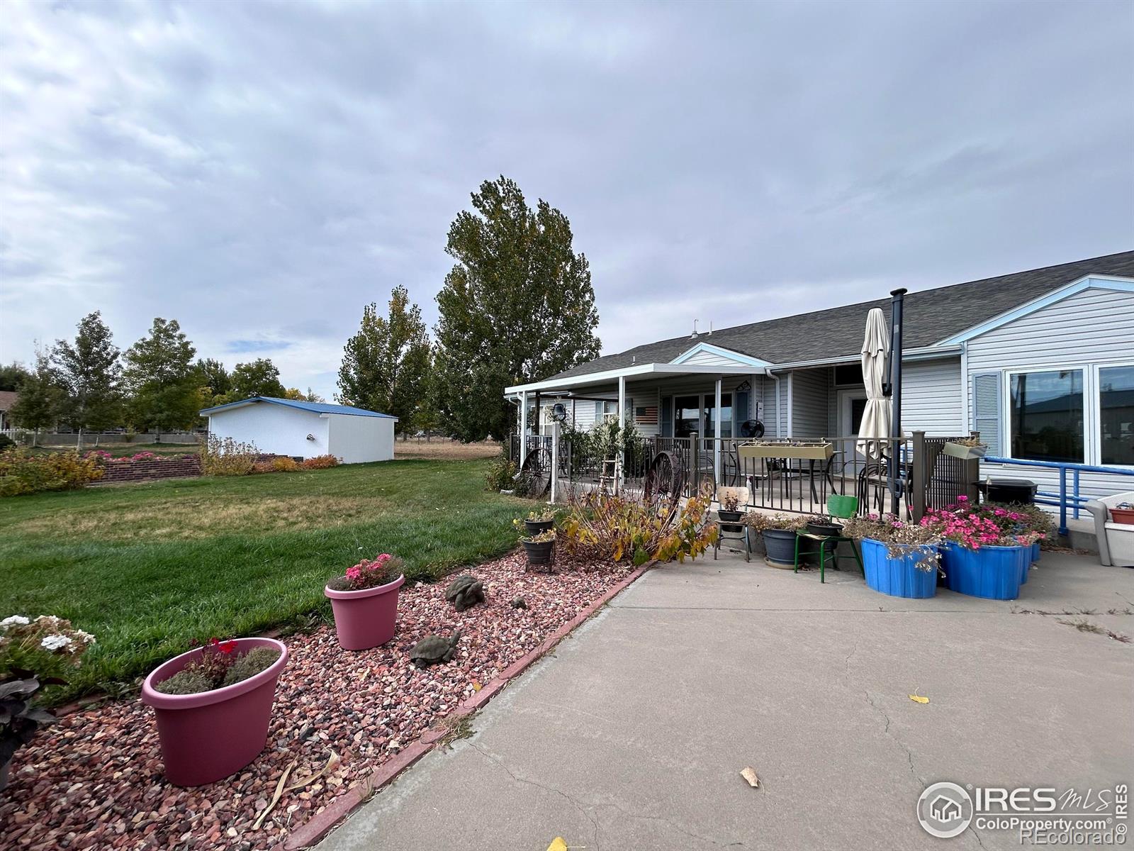 717 3rd Avenue Wiggins CO 80654