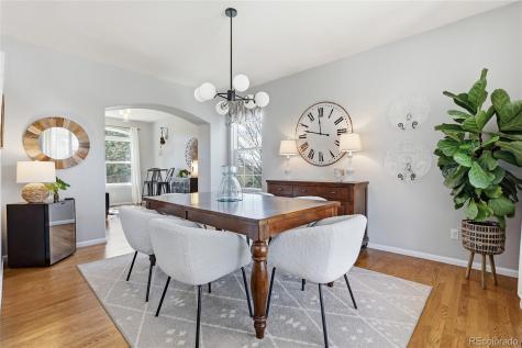 20316 Vista Circle Parker CO 80138