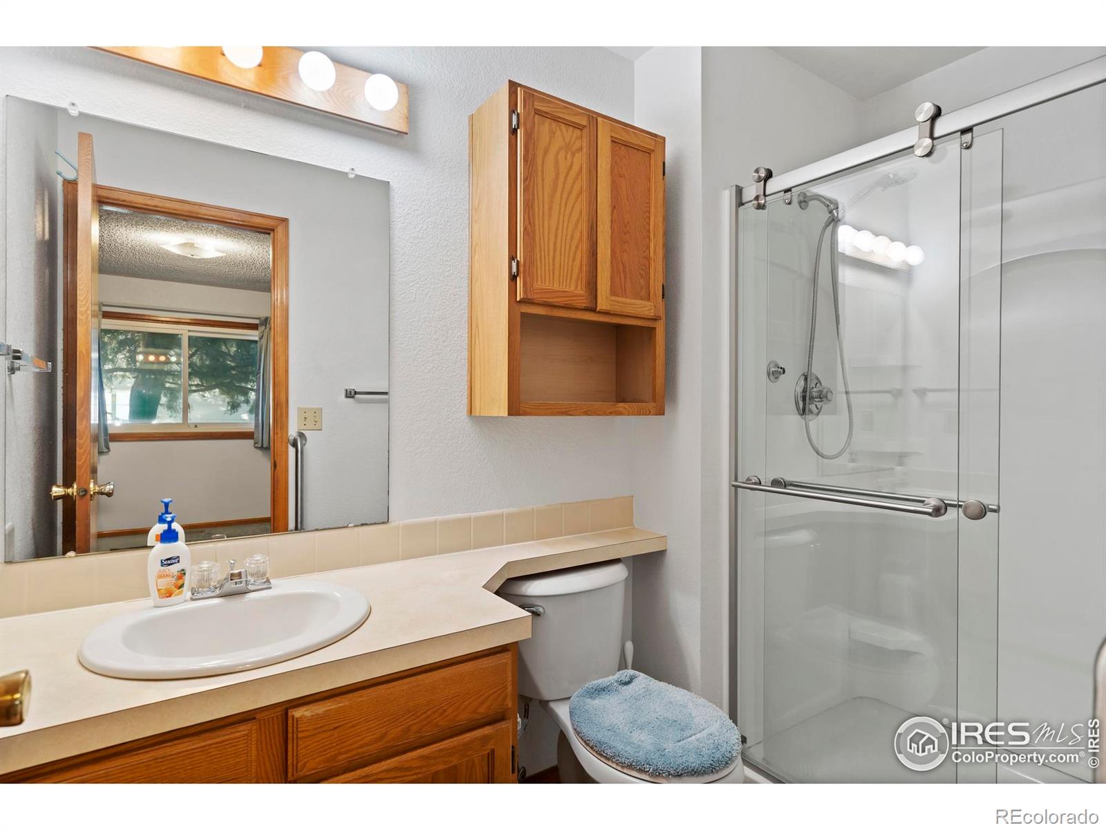 3546 Silver Leaf Drive Loveland CO 80538