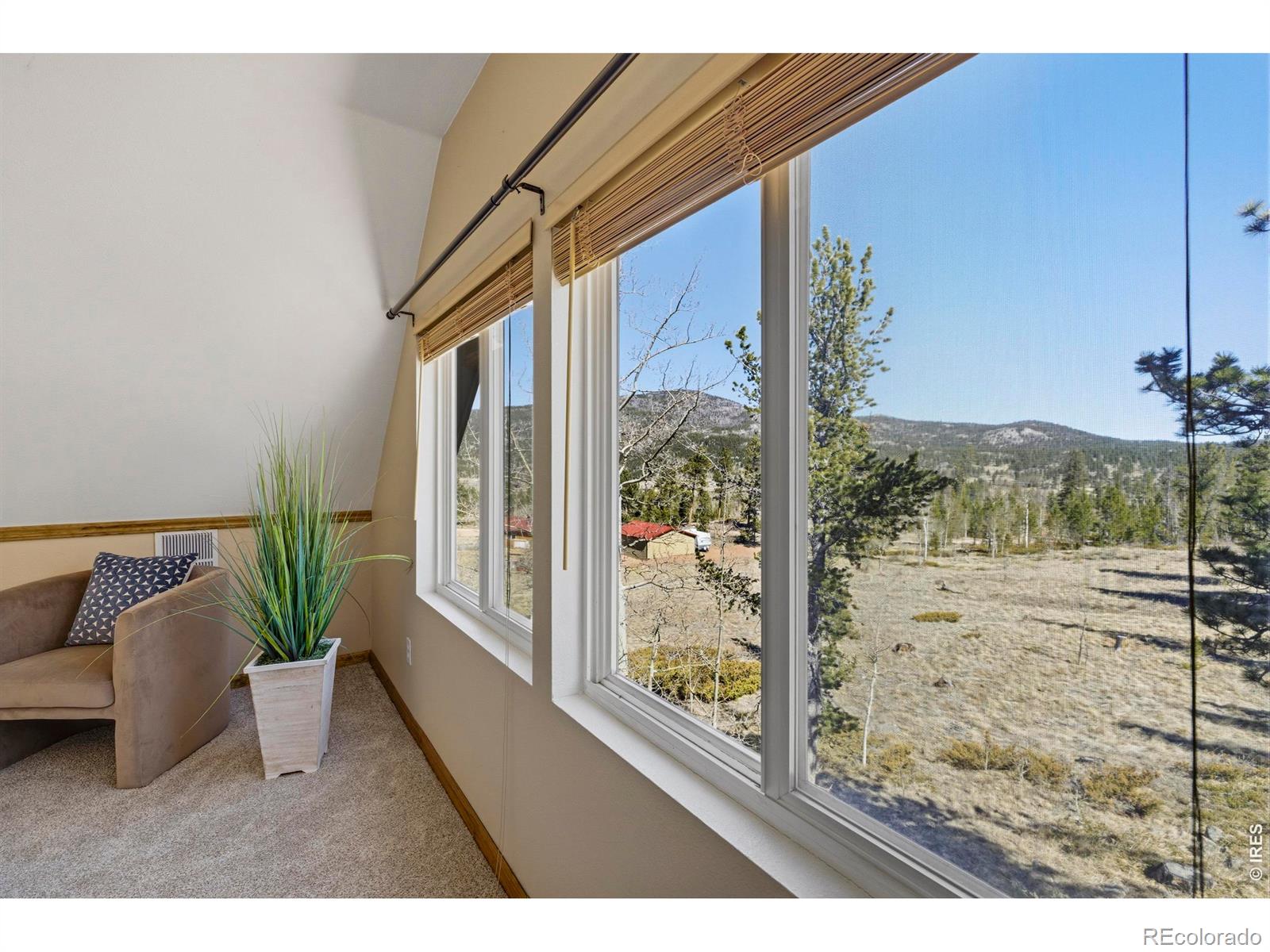 5515 N County Road 73c Red Feather Lakes CO 80545