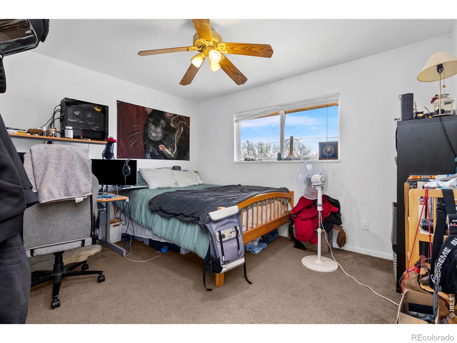 1200 Ash Drive Fort Collins CO 80521