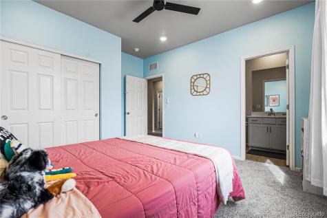 1674 Rumley Creek Drive Windsor CO 80550