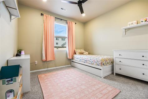 1674 Rumley Creek Drive Windsor CO 80550