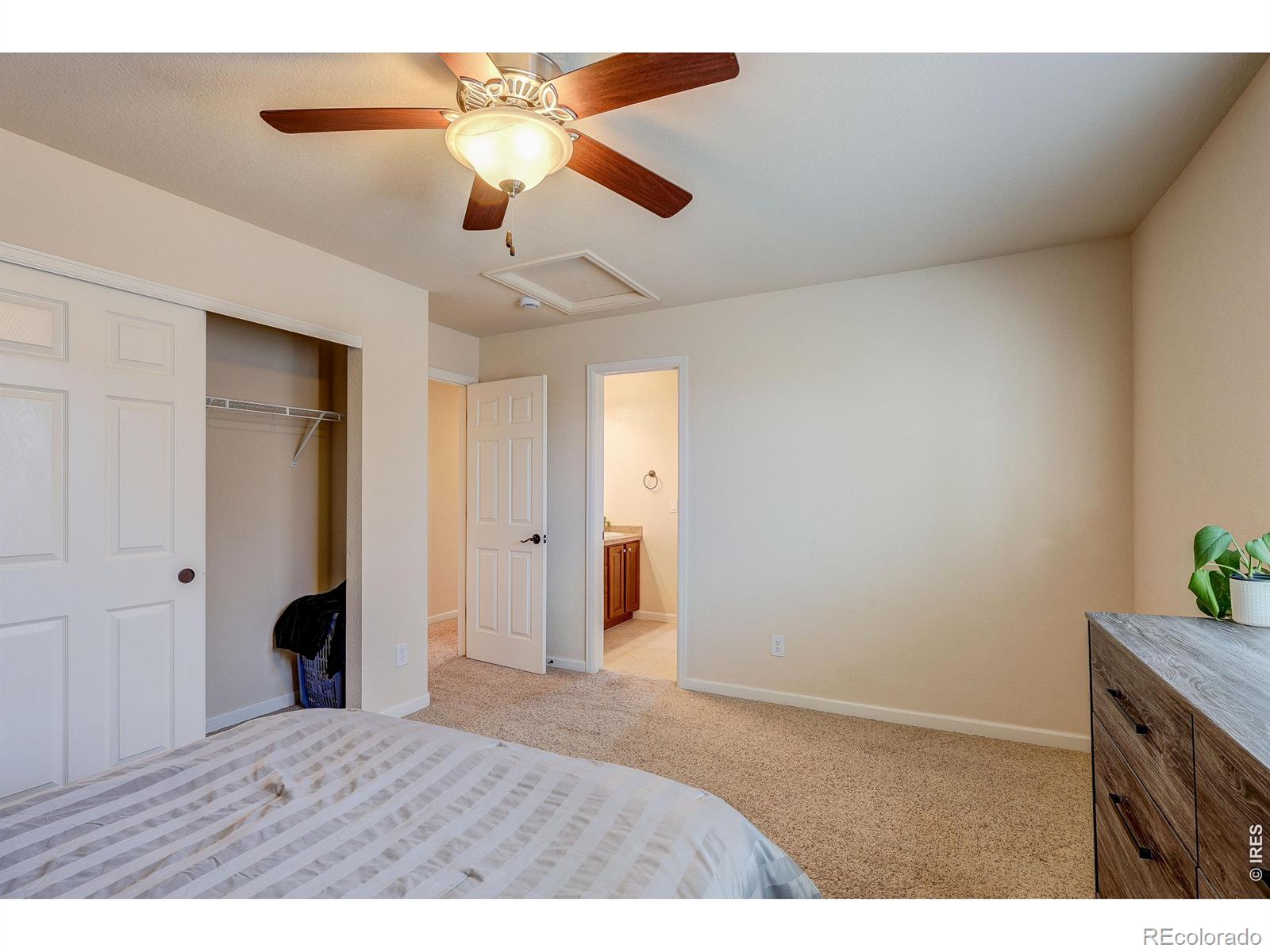 116 Muscovey Lane Johnstown CO 80534